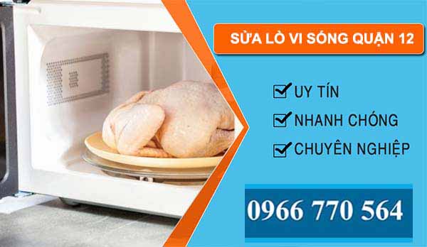 thi cống sửa lò vi sóng quận 12