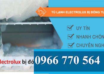 nguyên nhân tủ lạnh electrolux bị đóng tuyết