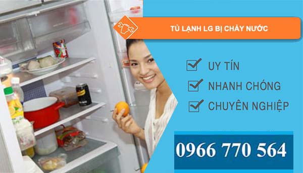 nguyên nhân tủ lạnh lg bị chảy nước