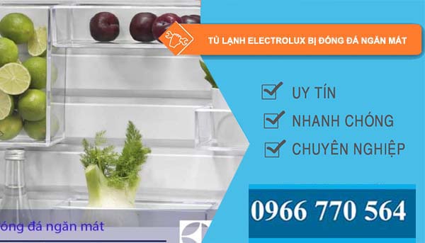 sửa tủ lạnh electrolux bị đóng đá ngăn mát