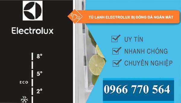 tủ lạnh electrolux bị đóng đá ngăn mát
